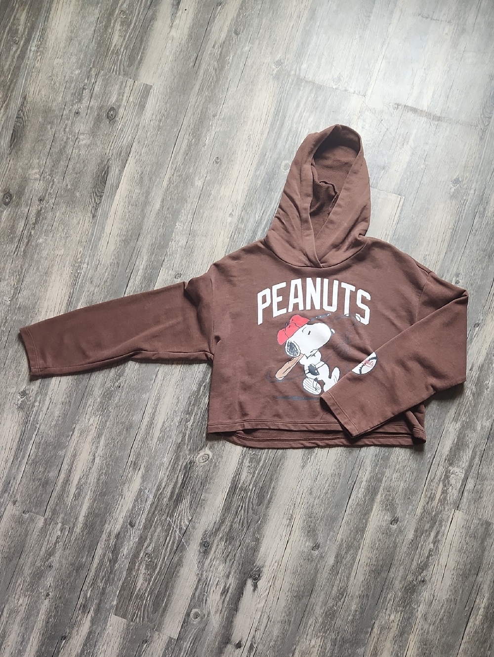 H&M Brown Peanuts Snoopy Cropped Hoodie